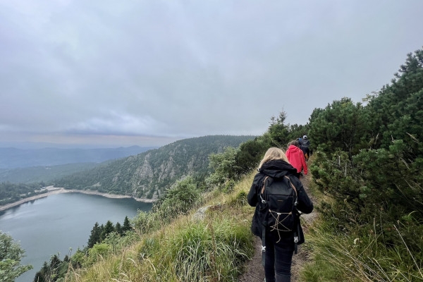 Excursión "Conoce la gamuza". - Bonjour Alsace