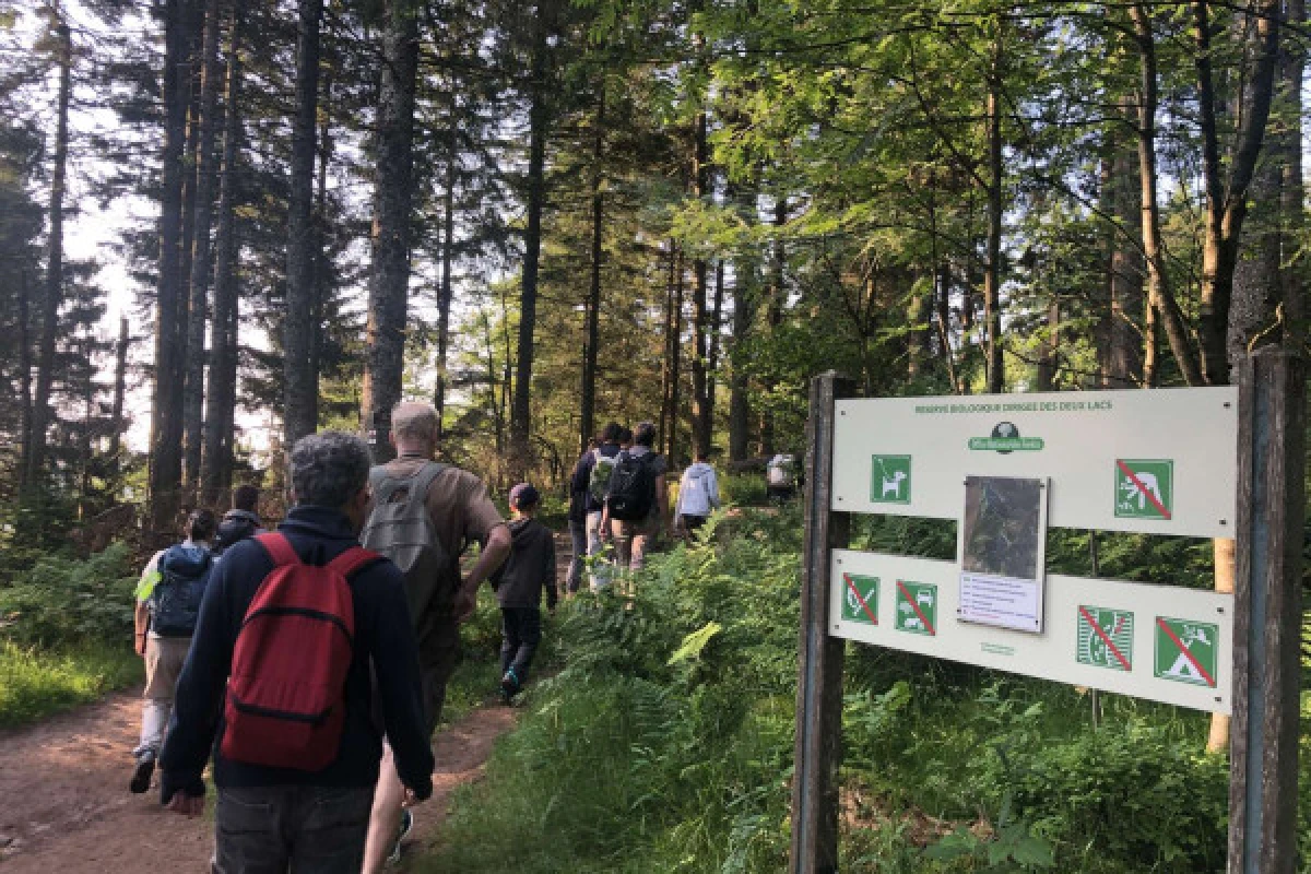 Excursión "Conoce la gamuza". - Bonjour Alsace