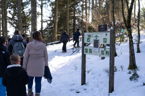 Excursión familiar con raquetas de nieve - Bonjour Alsace