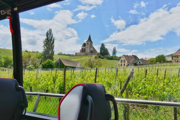 Tour "Perles du Vignoble" de un día desde Estrasburgo - Bonjour Alsace