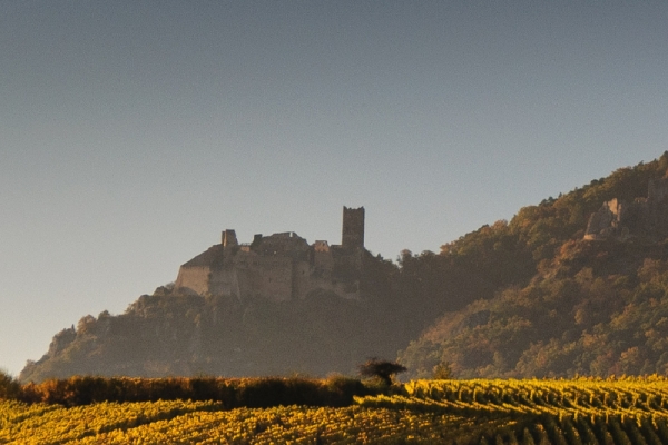 Viñedos de Alsacia y cata de vinos - Bonjour Alsace