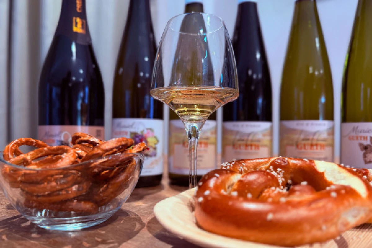 Visita a la bodega y degustación de vinos ecológicos de Alsacia con un toque femenino - Bonjour Alsace