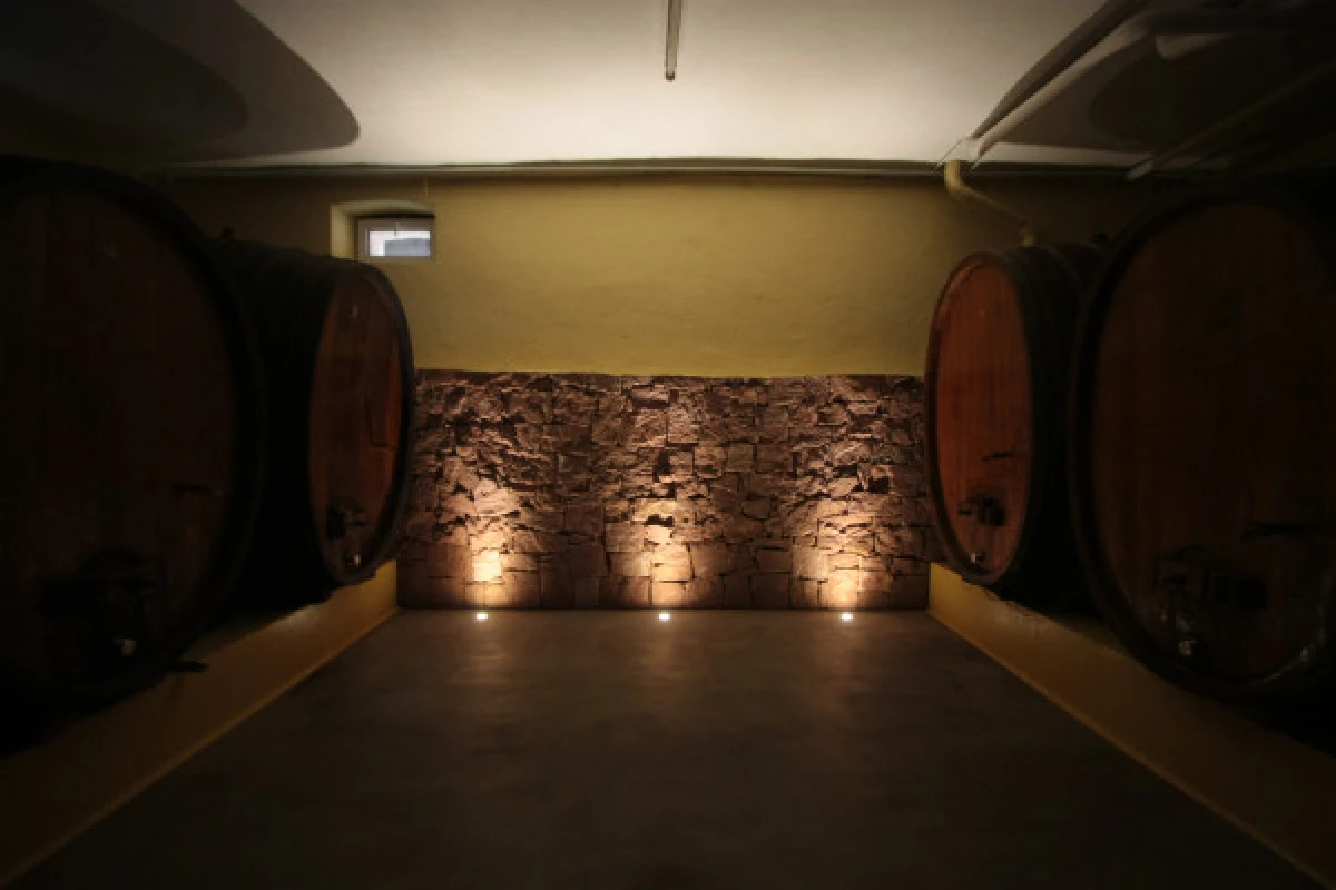 Visita tradicional y cata de vinos - 5 variedades de uva - Bonjour Alsace