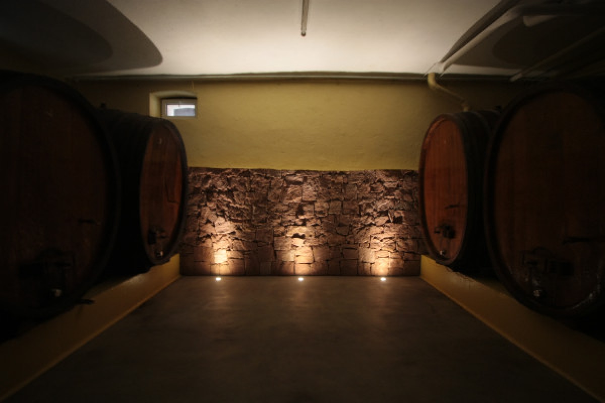 Visita tradicional y cata de vinos - 5 variedades de uva - Bonjour Alsace