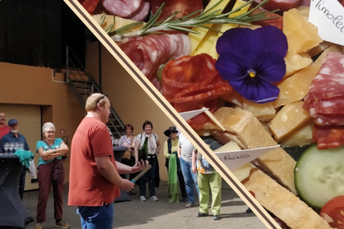 Visita tradicional y cata de vinos - 5 variedades de uva - Bonjour Alsace