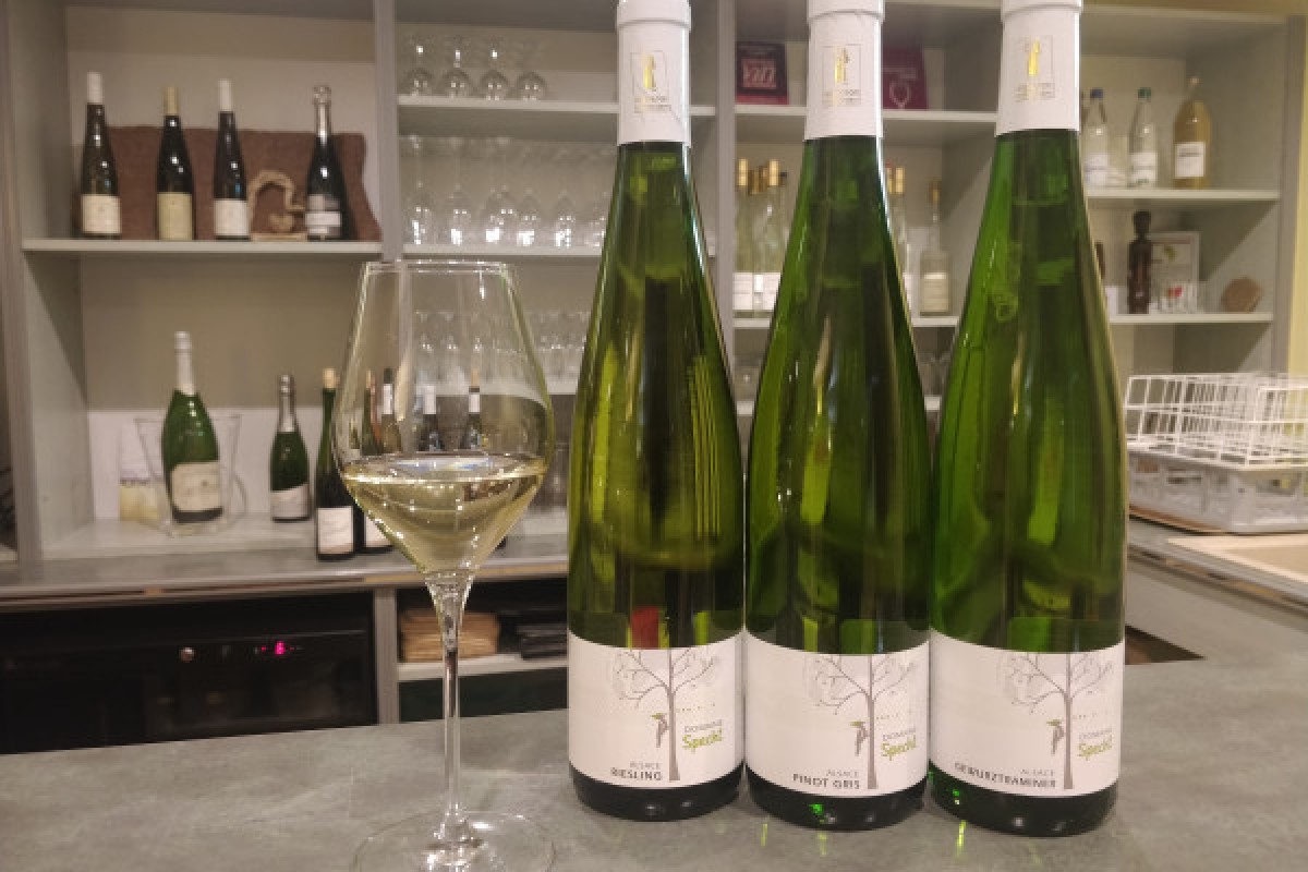 Visita tradicional y cata de vinos - 5 variedades de uva - Bonjour Alsace