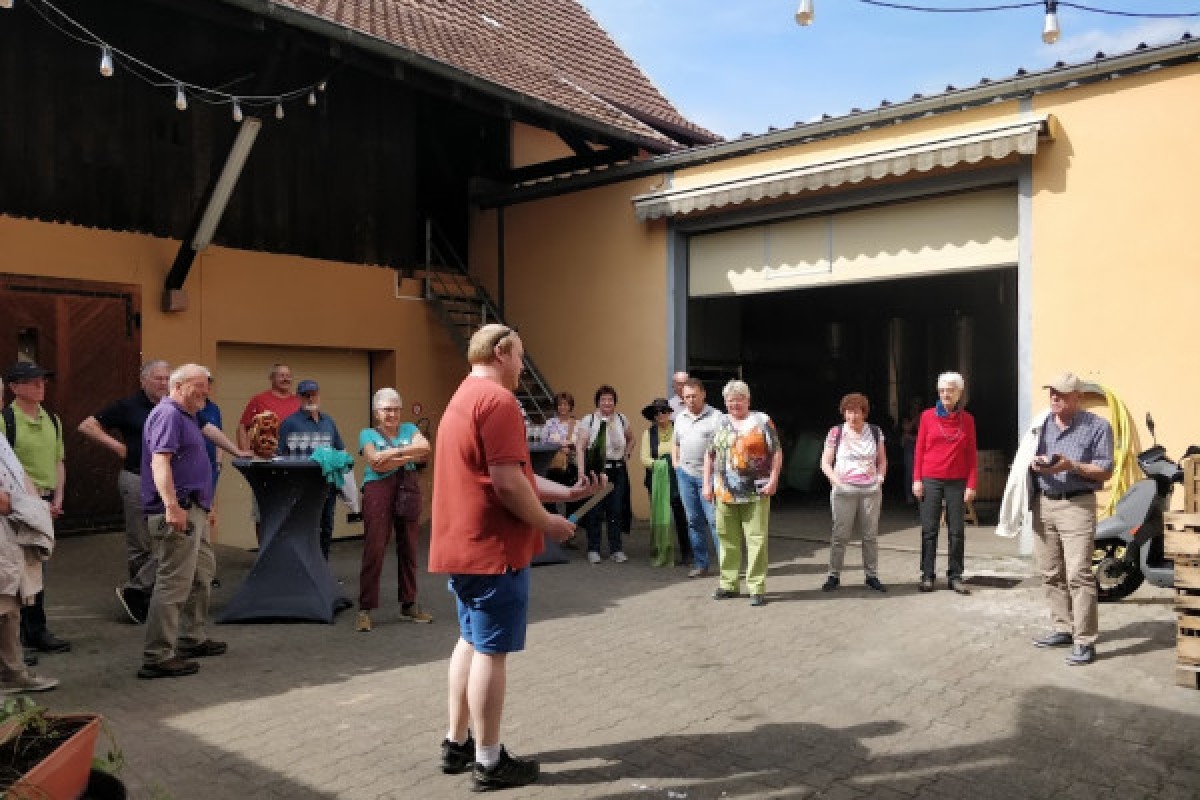 Visita tradicional y cata de vinos - 5 variedades de uva - Bonjour Alsace