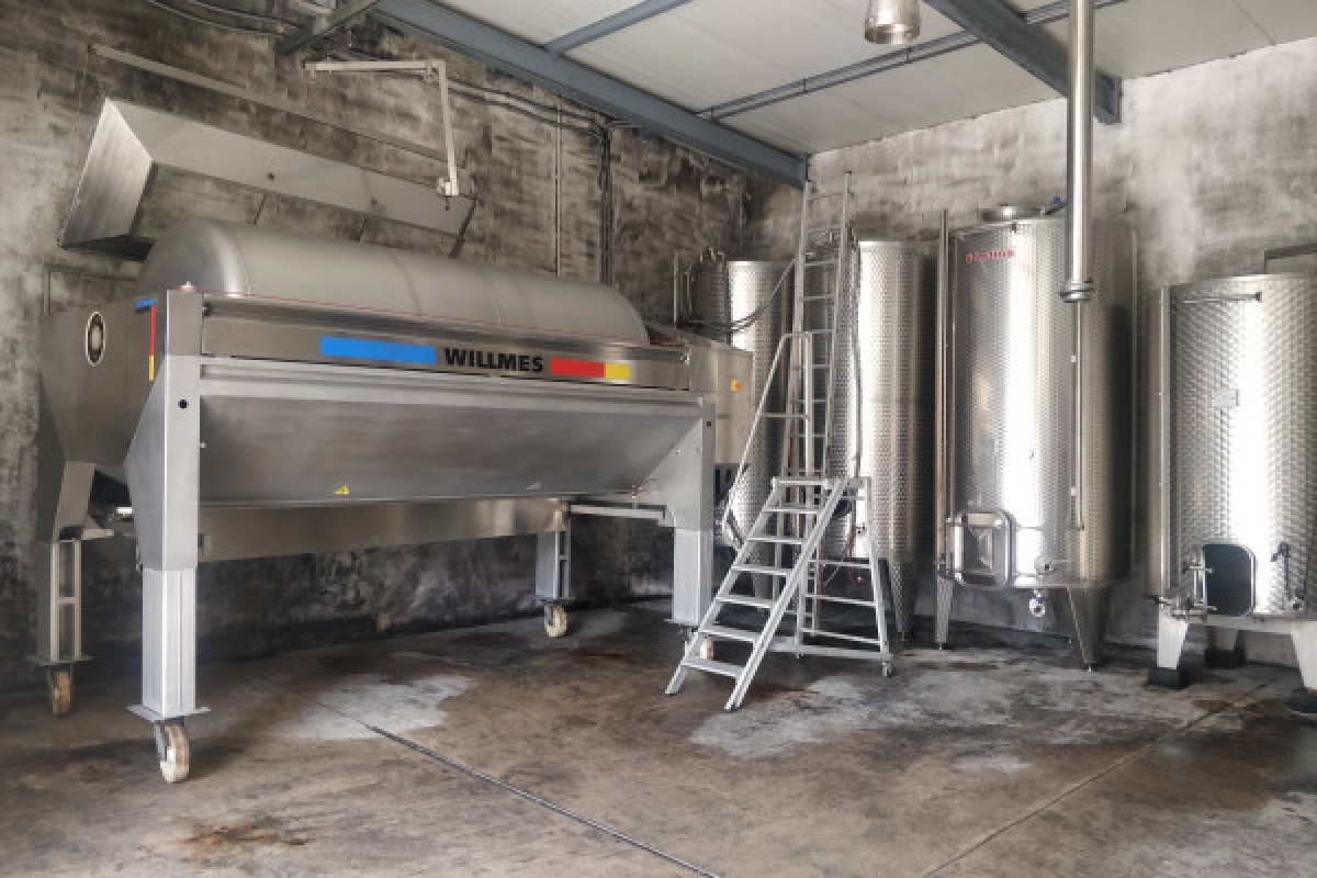 Visita tradicional y cata de vinos - 5 variedades de uva - Bonjour Alsace