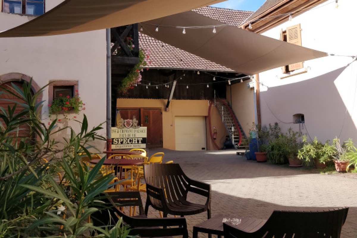 Visita tradicional y cata de vinos - 5 variedades de uva - Bonjour Alsace