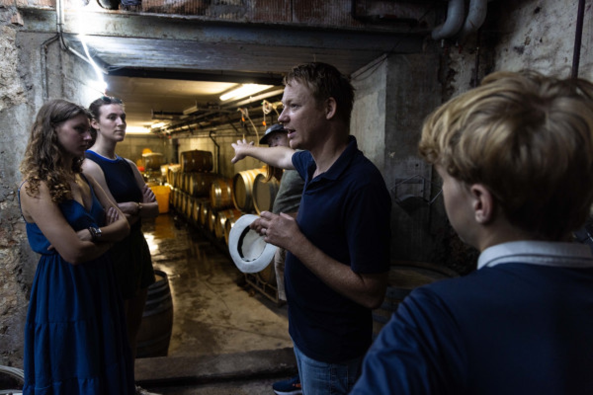 Visita de la bodega y descubrimiento de los vinos de Alsacia - Bonjour Alsace