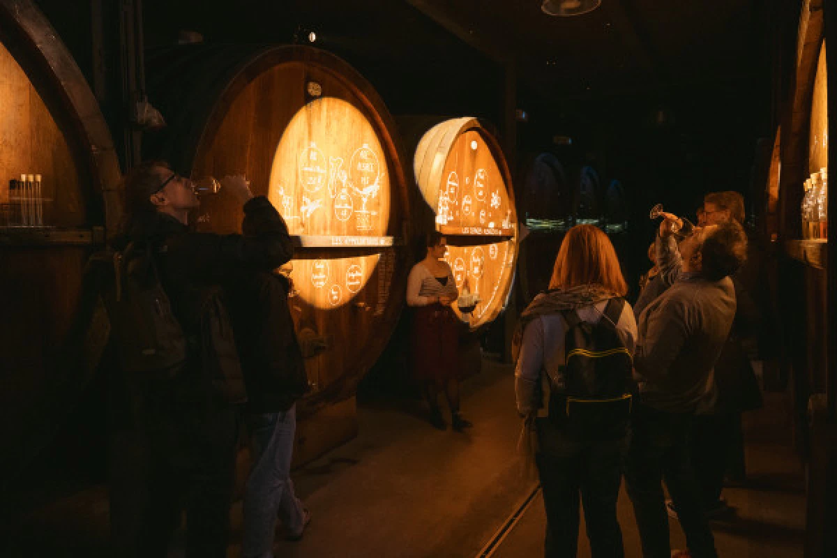 Immersive cellar tour, tasting and board meal - Bonjour Alsace