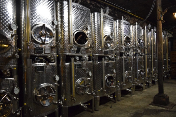 ¡Visita de descubrimiento de nuestras bodegas! - Bonjour Alsace