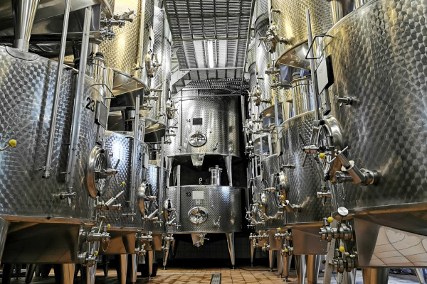 Visita de descubrimiento - Bonjour Alsace